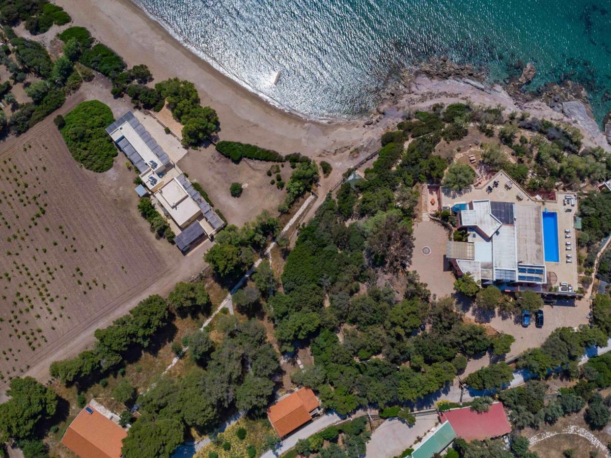 Black Diamond Beachfront Pool Villa Pasithea In Sounio, Athens 수니언 외부 사진