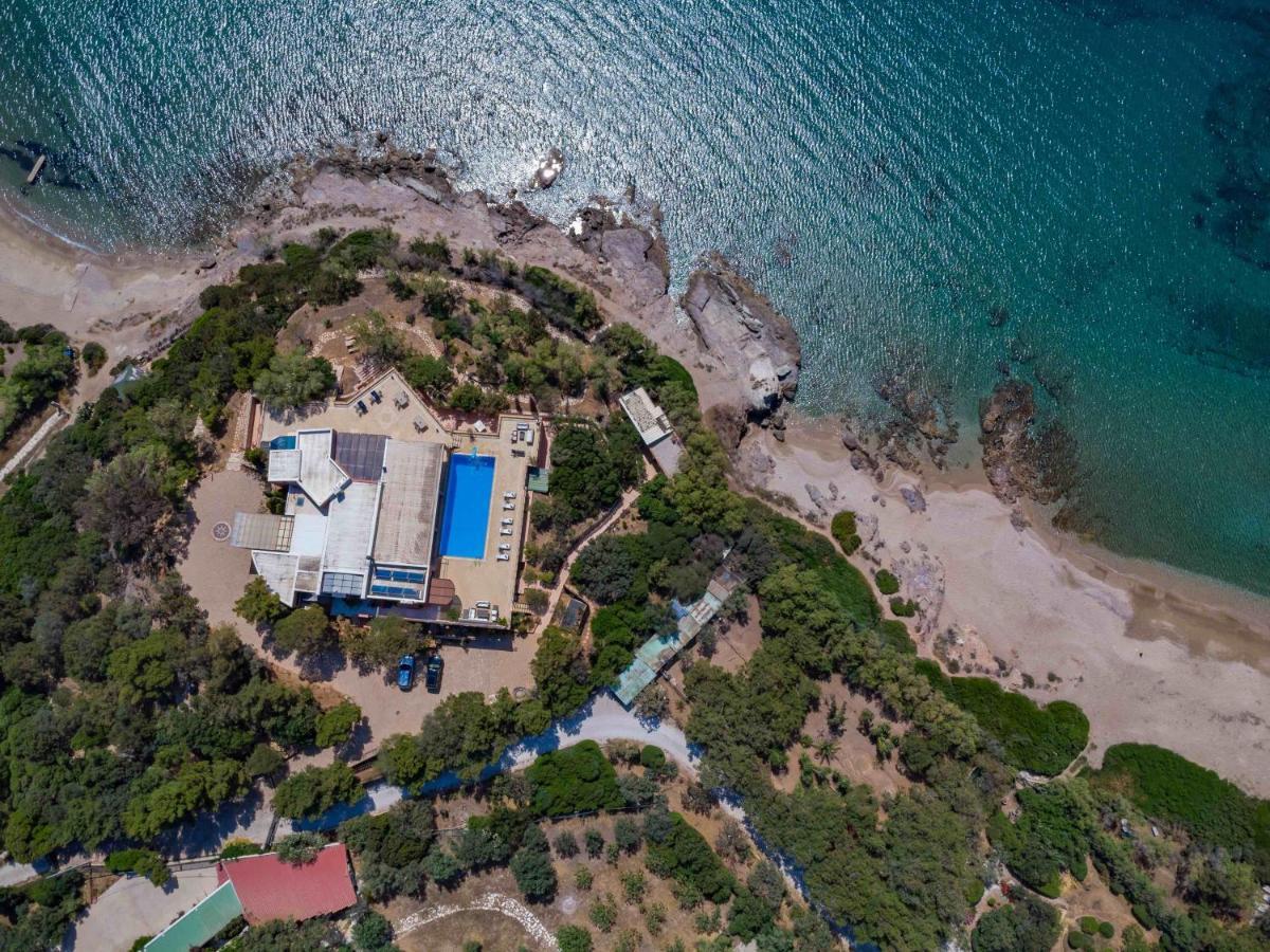 Black Diamond Beachfront Pool Villa Pasithea In Sounio, Athens 수니언 외부 사진