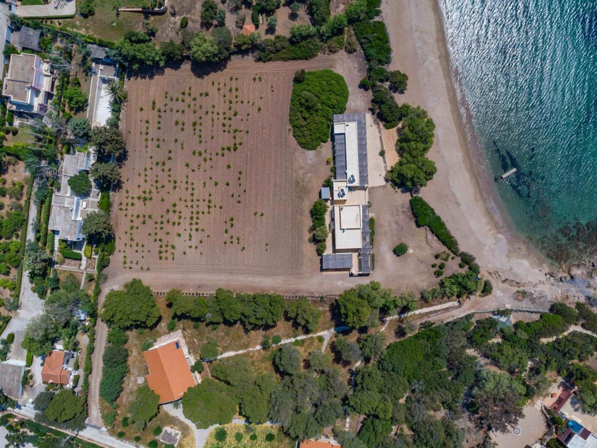 Black Diamond Beachfront Pool Villa Pasithea In Sounio, Athens 수니언 외부 사진