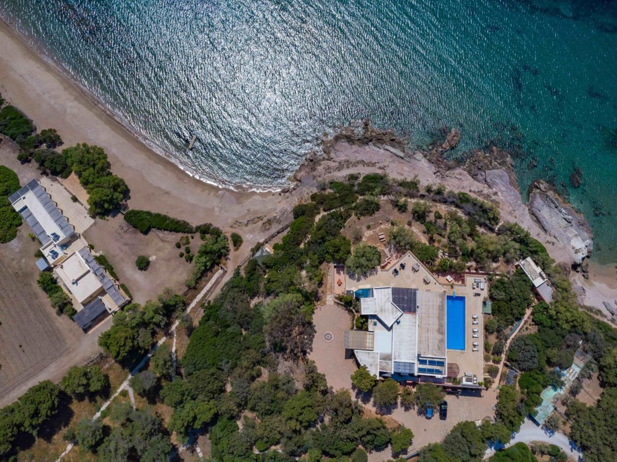 Black Diamond Beachfront Pool Villa Pasithea In Sounio, Athens 수니언 외부 사진